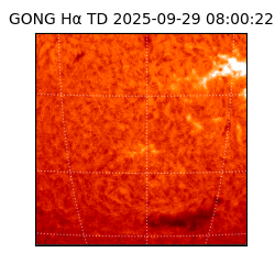 gong - 2025-09-29T08:00:22