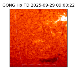 gong - 2025-09-29T09:00:22