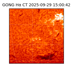 gong - 2025-09-29T15:00:42