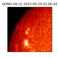 gong - 2025-09-29T02:00:42