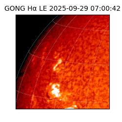 gong - 2025-09-29T07:00:42