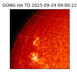 gong - 2025-09-29T09:00:22