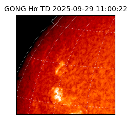 gong - 2025-09-29T11:00:22