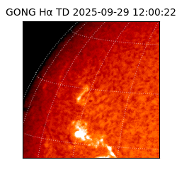 gong - 2025-09-29T12:00:22