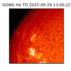 gong - 2025-09-29T13:00:22
