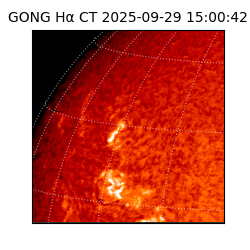 gong - 2025-09-29T15:00:42
