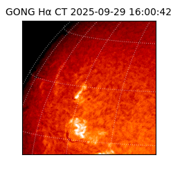 gong - 2025-09-29T16:00:42