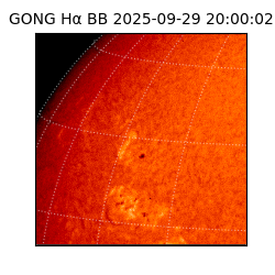 gong - 2025-09-29T20:00:02