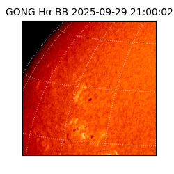 gong - 2025-09-29T21:00:02