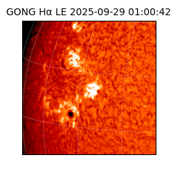 gong - 2025-09-29T01:00:42