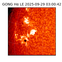 gong - 2025-09-29T03:00:42