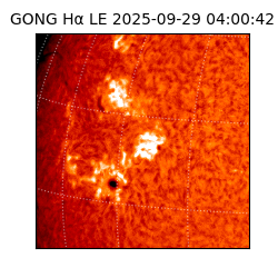 gong - 2025-09-29T04:00:42