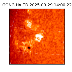 gong - 2025-09-29T14:00:22