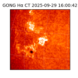 gong - 2025-09-29T16:00:42