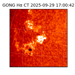 gong - 2025-09-29T17:00:42