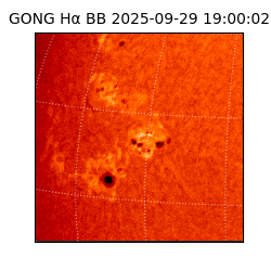 gong - 2025-09-29T19:00:02