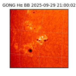 gong - 2025-09-29T21:00:02