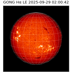 gong - 2025-09-29T02:00:42