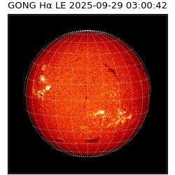 gong - 2025-09-29T03:00:42