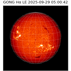 gong - 2025-09-29T05:00:42