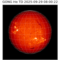 gong - 2025-09-29T08:00:22
