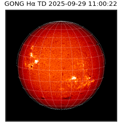 gong - 2025-09-29T11:00:22