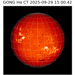 gong - 2025-09-29T15:00:42