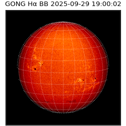 gong - 2025-09-29T19:00:02