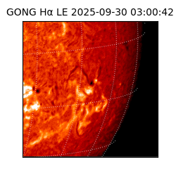 gong - 2025-09-30T03:00:42