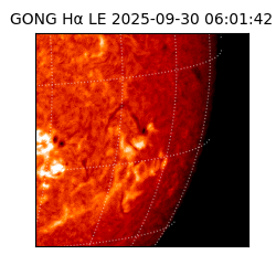 gong - 2025-09-30T06:01:42