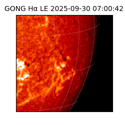 gong - 2025-09-30T07:00:42