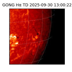 gong - 2025-09-30T13:00:22