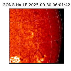 gong - 2025-09-30T06:01:42