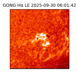 gong - 2025-09-30T06:01:42
