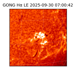 gong - 2025-09-30T07:00:42