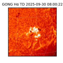 gong - 2025-09-30T08:00:22