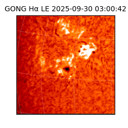 gong - 2025-09-30T03:00:42