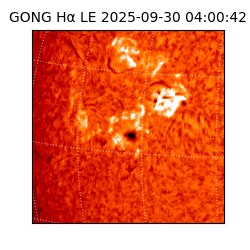 gong - 2025-09-30T04:00:42