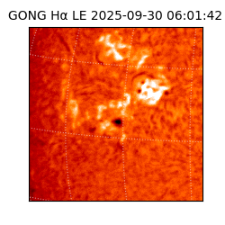 gong - 2025-09-30T06:01:42