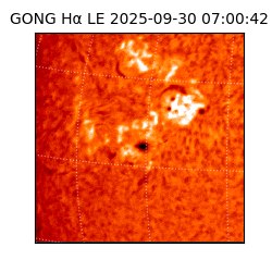 gong - 2025-09-30T07:00:42