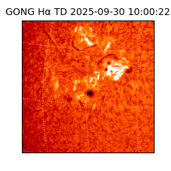 gong - 2025-09-30T10:00:22