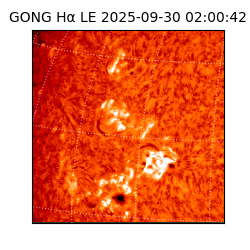 gong - 2025-09-30T02:00:42