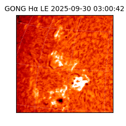 gong - 2025-09-30T03:00:42