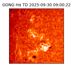 gong - 2025-09-30T09:00:22