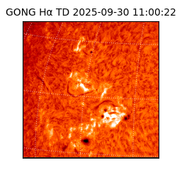 gong - 2025-09-30T11:00:22