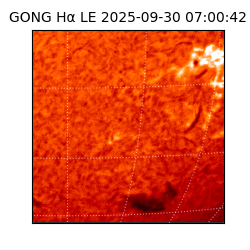 gong - 2025-09-30T07:00:42