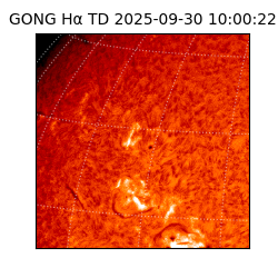 gong - 2025-09-30T10:00:22