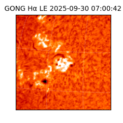 gong - 2025-09-30T07:00:42