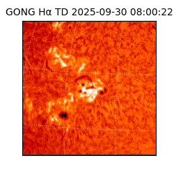 gong - 2025-09-30T08:00:22