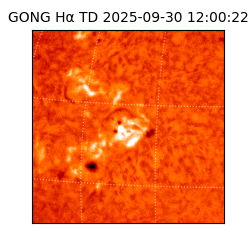 gong - 2025-09-30T12:00:22